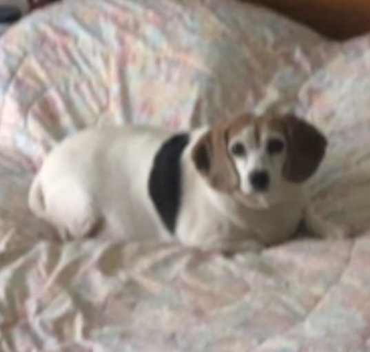 Photo of Jamie -MISSING