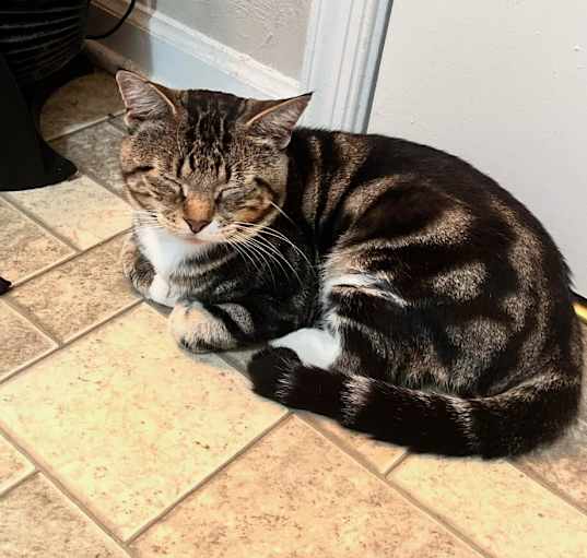 Photo of Monte