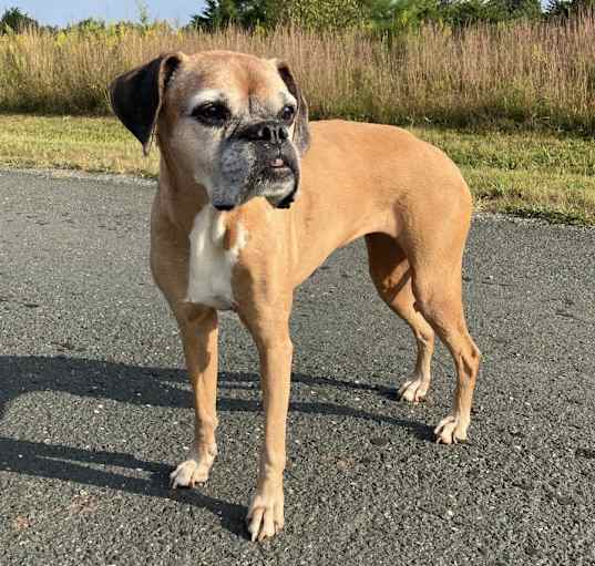 Photo of Darla