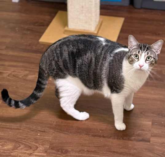 Photo of Franklin