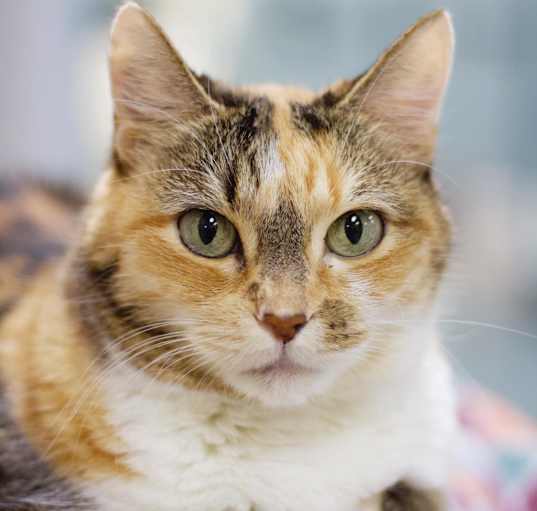 Photo of Sammie