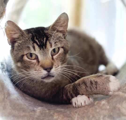 Photo of Waylon