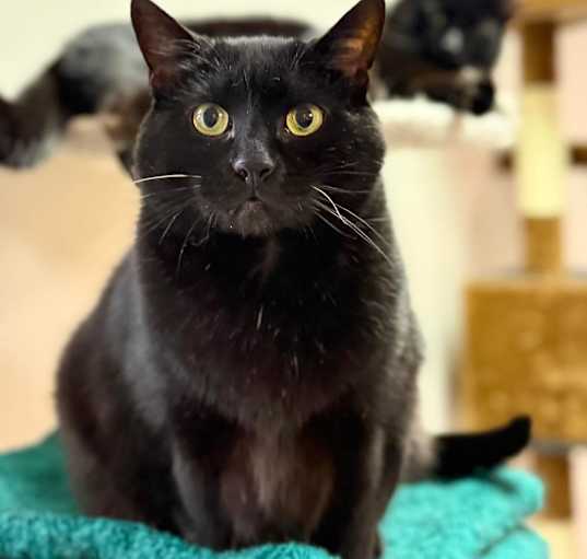 Photo of Twix