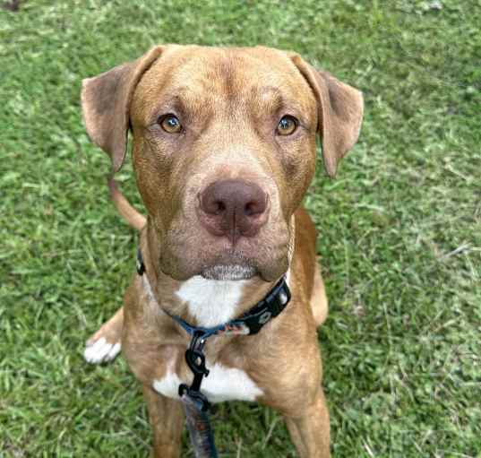 Photo of Winston