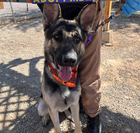 Photo of Captain