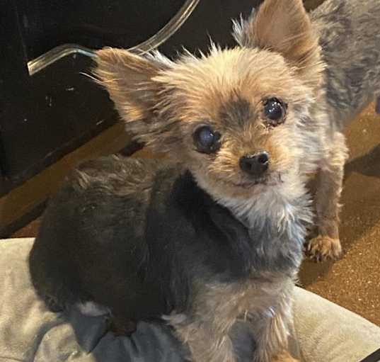 Photo of Baby Girl 