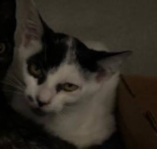Photo of Janet