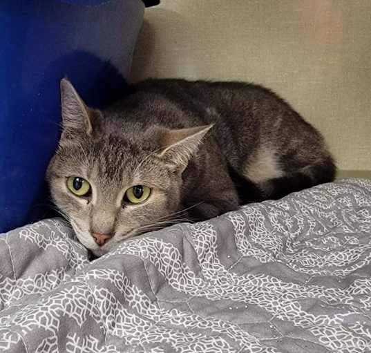 Photo of Tilly