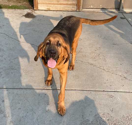 Photo of Macy