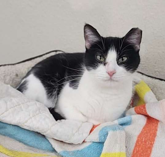 Photo of Moky