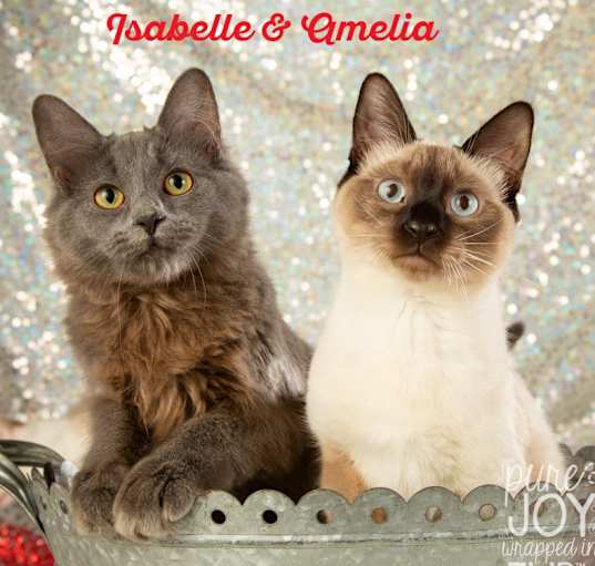 Photo of Isabelle