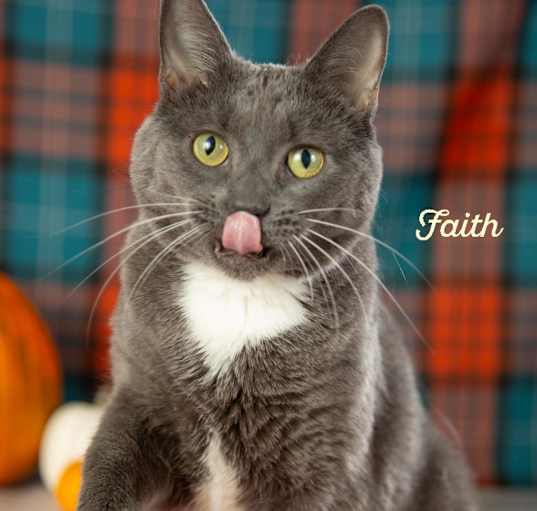 Photo of Faith