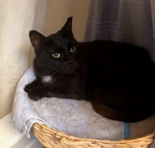 Photo of Sugar
