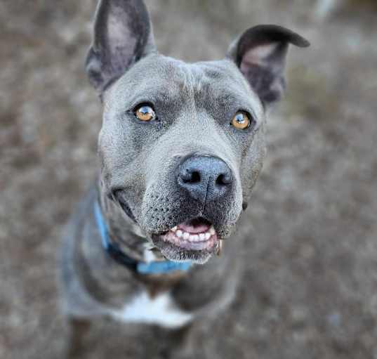 Photo of Lola