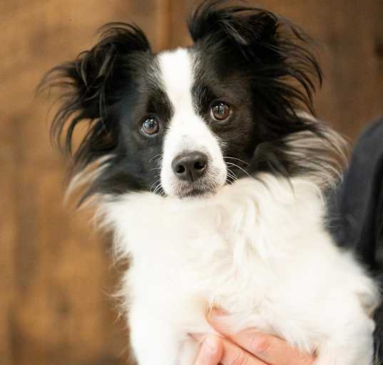 Photo of Edgar