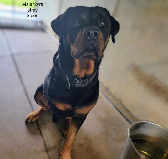 Photo of Axel (Demarcus)