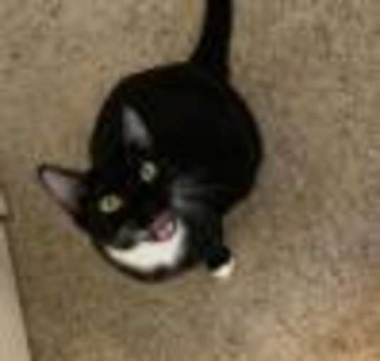 Photo of Trouble