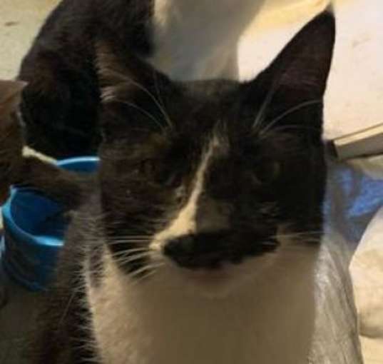 Photo of Eddie