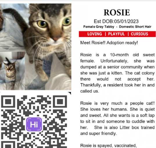 Photo of Rosie