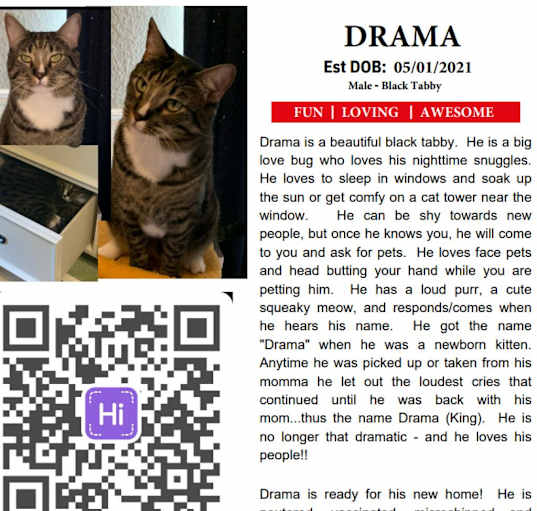 Photo of Drama