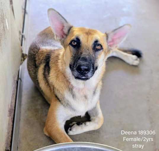 Photo of Deena