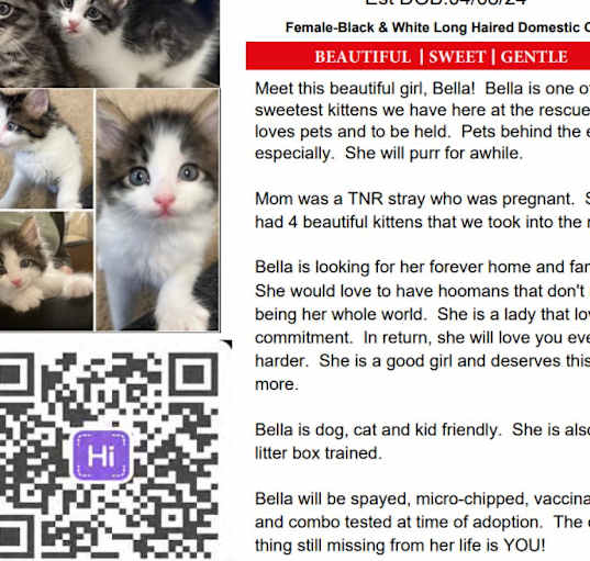 Photo of Bella