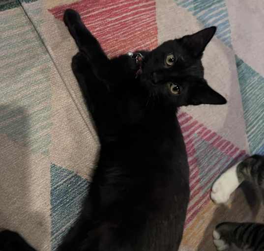 Photo of Sabrina