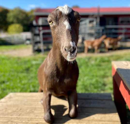 Photo of Billy Barbara