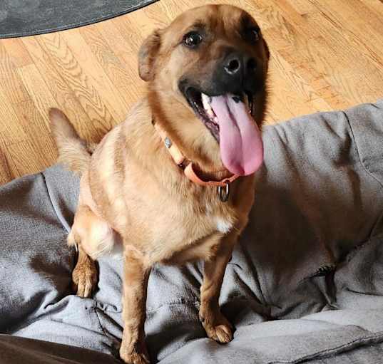 Photo of Max