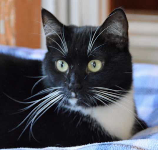 Photo of Frannie