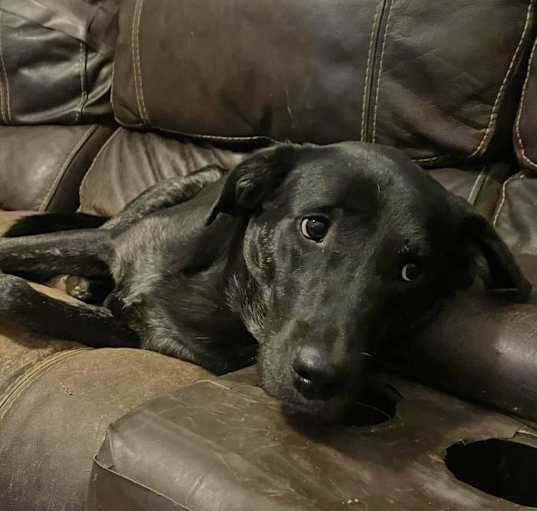 Photo of Jude