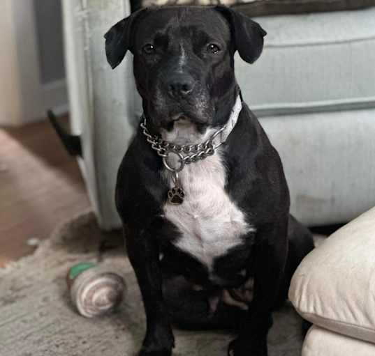 Photo of Swiper