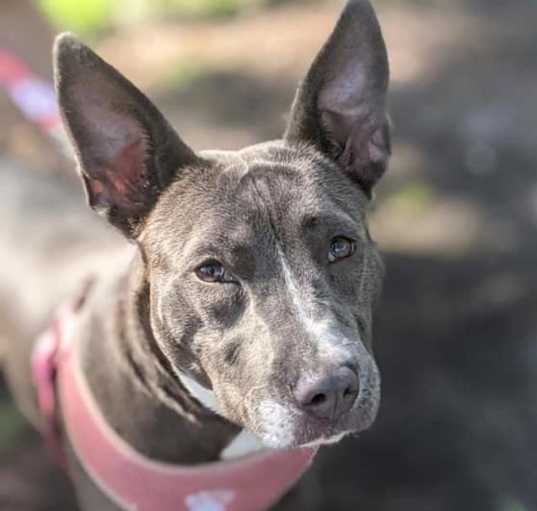 Photo of Baby Blue