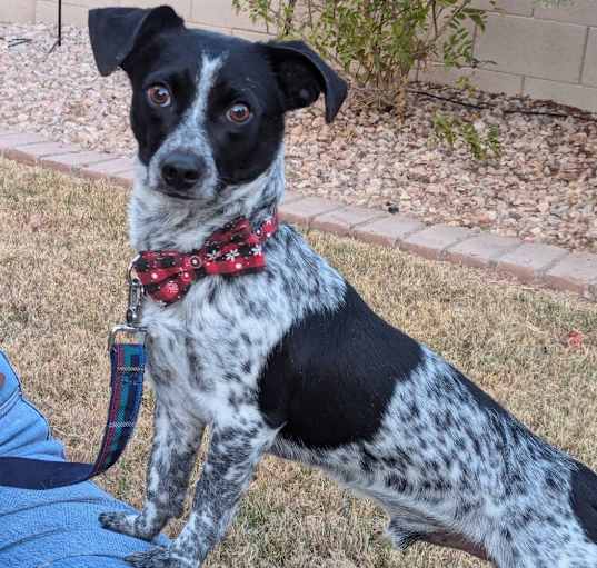 Photo of Sammie