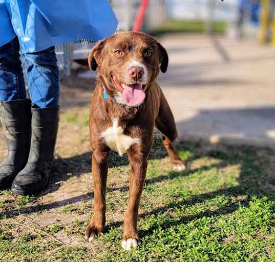 Photo of Cash