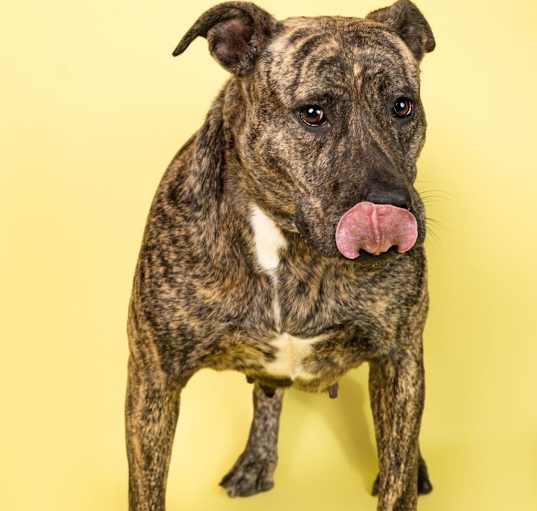 Photo of Jada
