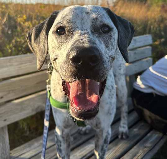 Photo of Brady D17331