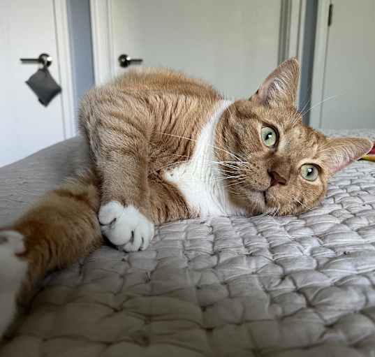 Photo of Boots