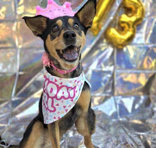 Photo of Addy