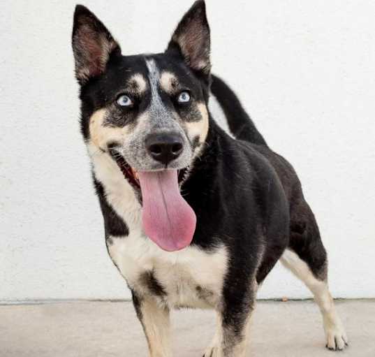 Photo of Maya