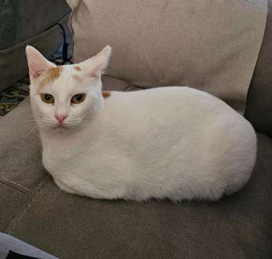 Photo of Abigail (mom)