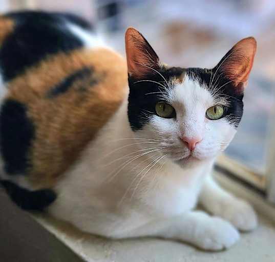 Photo of Charlee