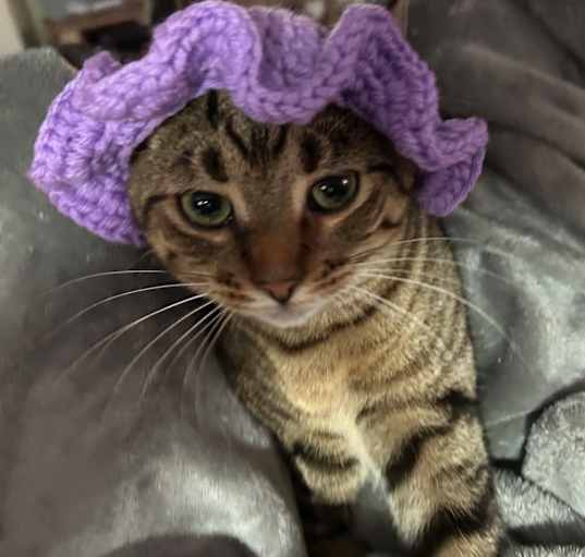 Photo of Dopey