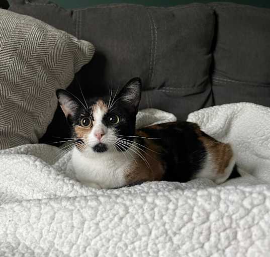 Photo of Lisa