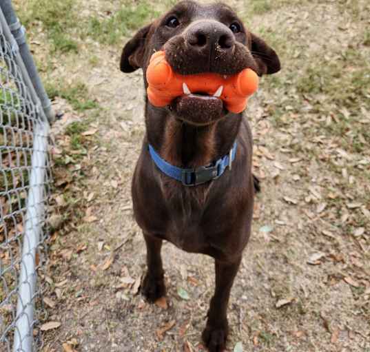Photo of Hershey