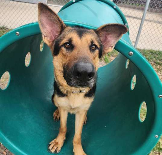 Photo of Bruce