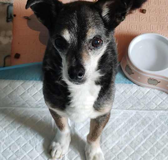 Photo of Mo