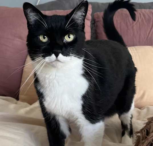 Photo of Mimi