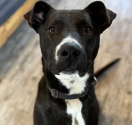 Photo of Rogan