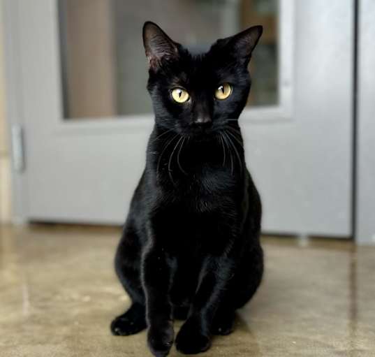 Photo of Amaris